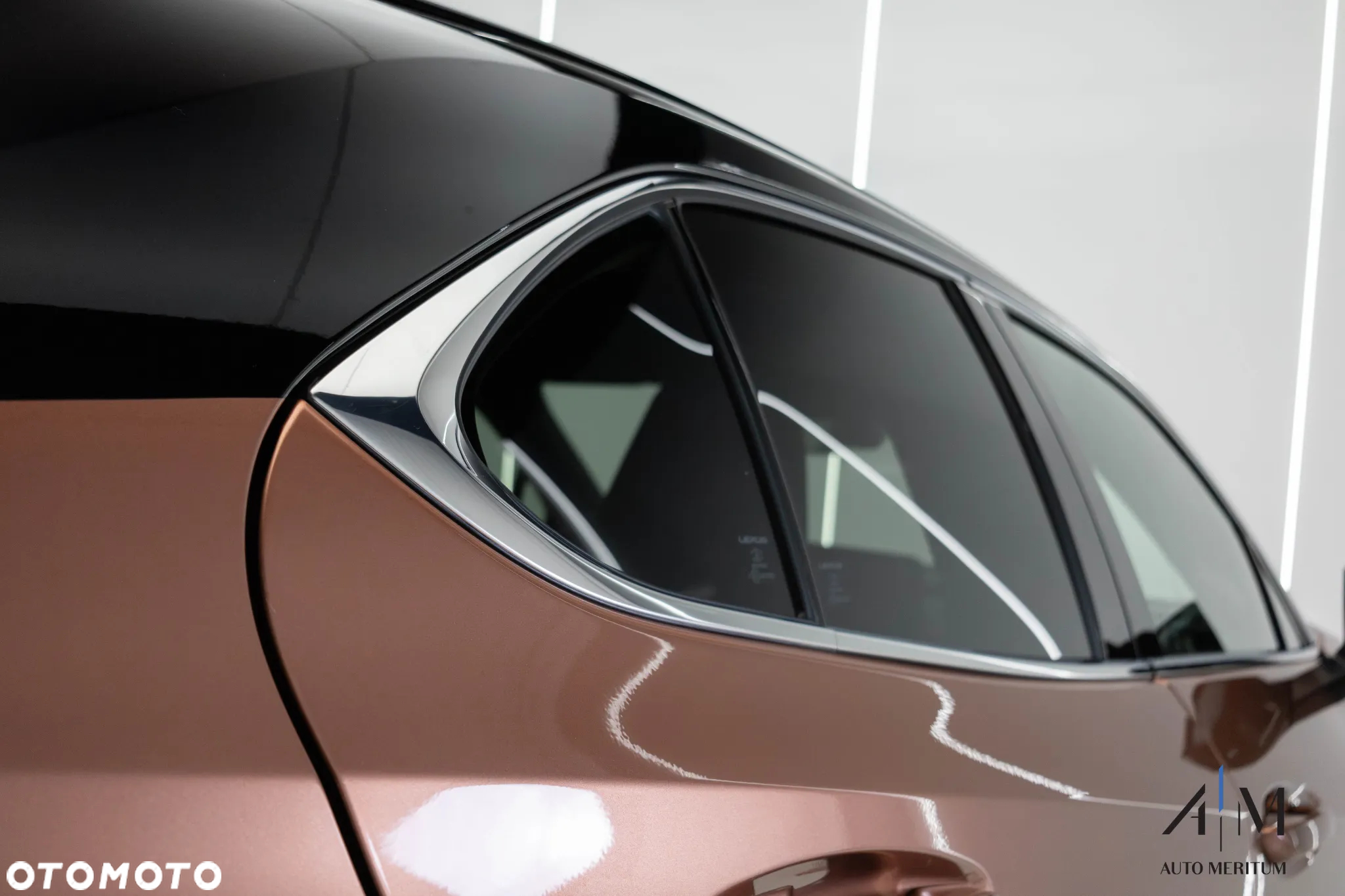 Lexus UX 300h F Sport Design AWD - 7