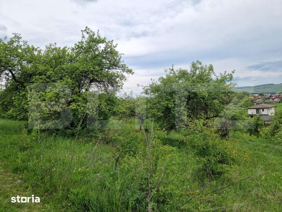 Teren extravilan de vanzare – 1000 mp, livada, ideal pentru casa ! - Imagine principală: 2/3