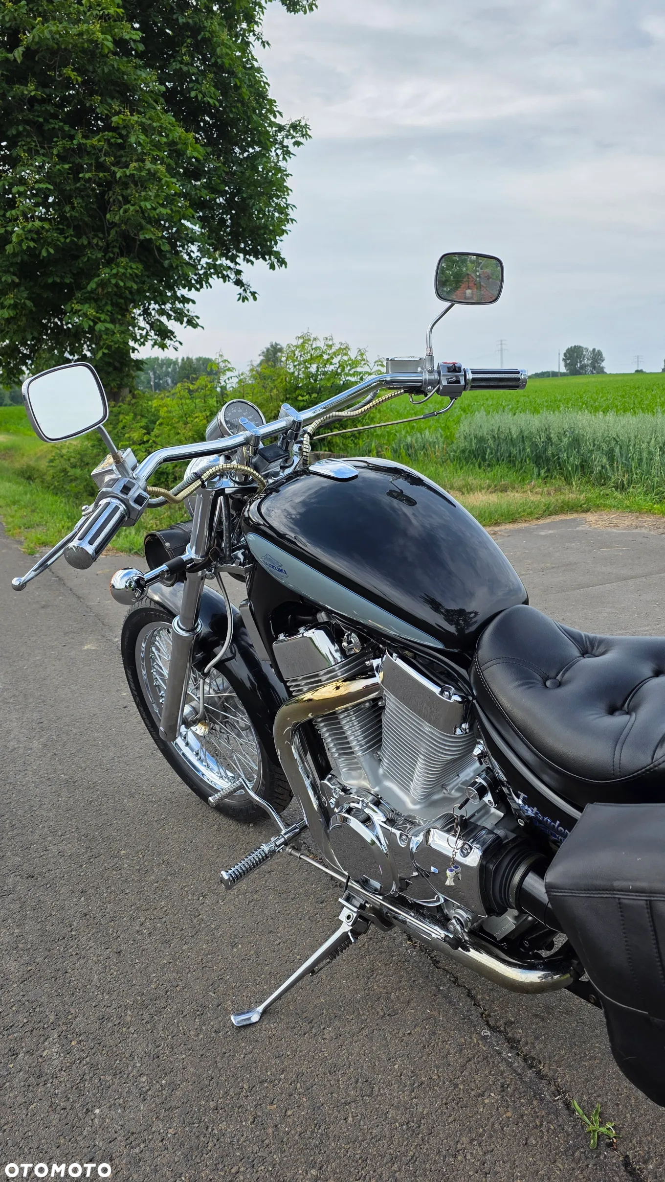 Suzuki Intruder - 19