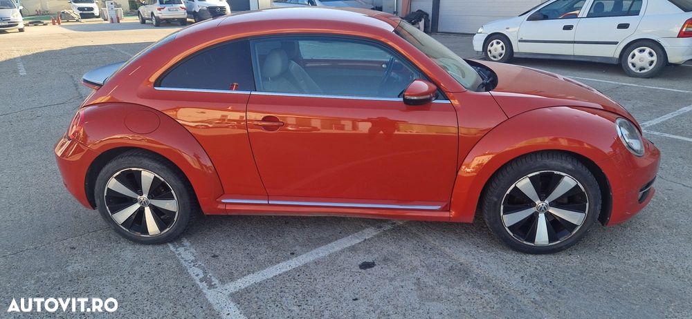 Volkswagen Beetle - 5