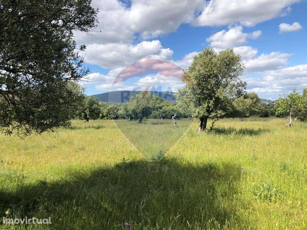 Terreno  para venda - Grande imagem: 2/8