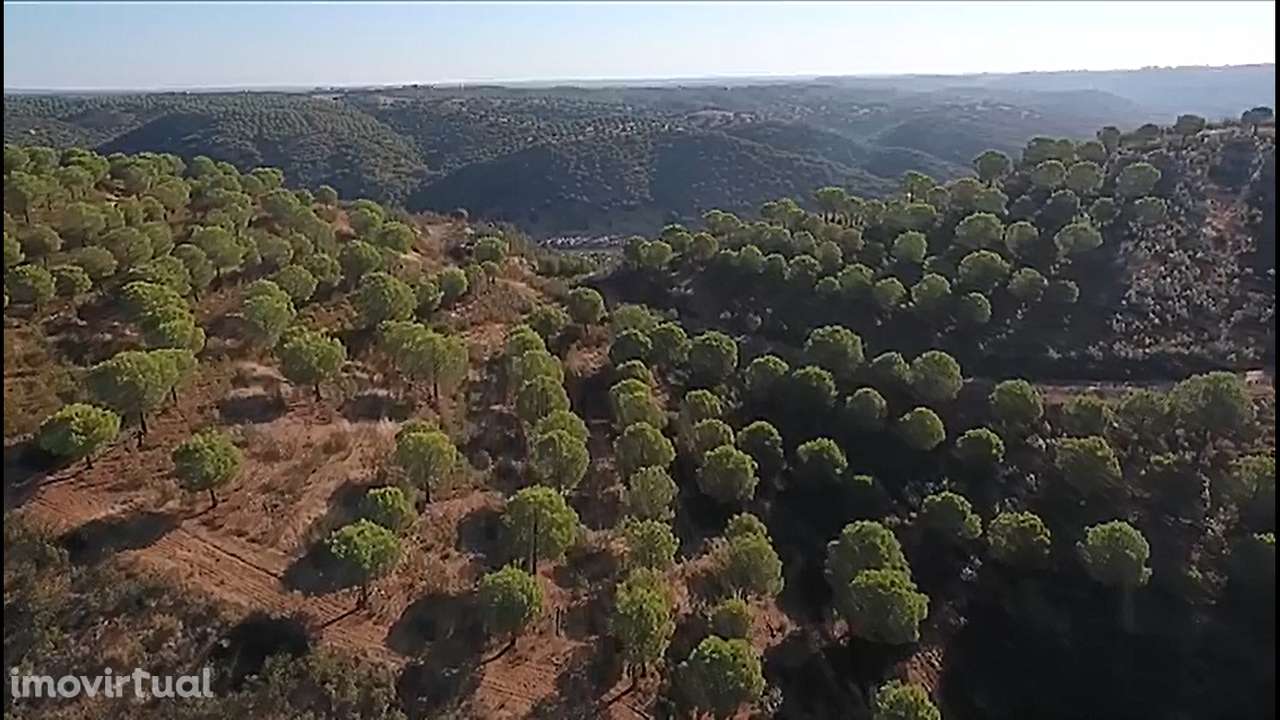 Descubra a sua Herdade dos Sonhos no Alentejo: 135 Hectares de Serenid - Grande imagem: 4/8