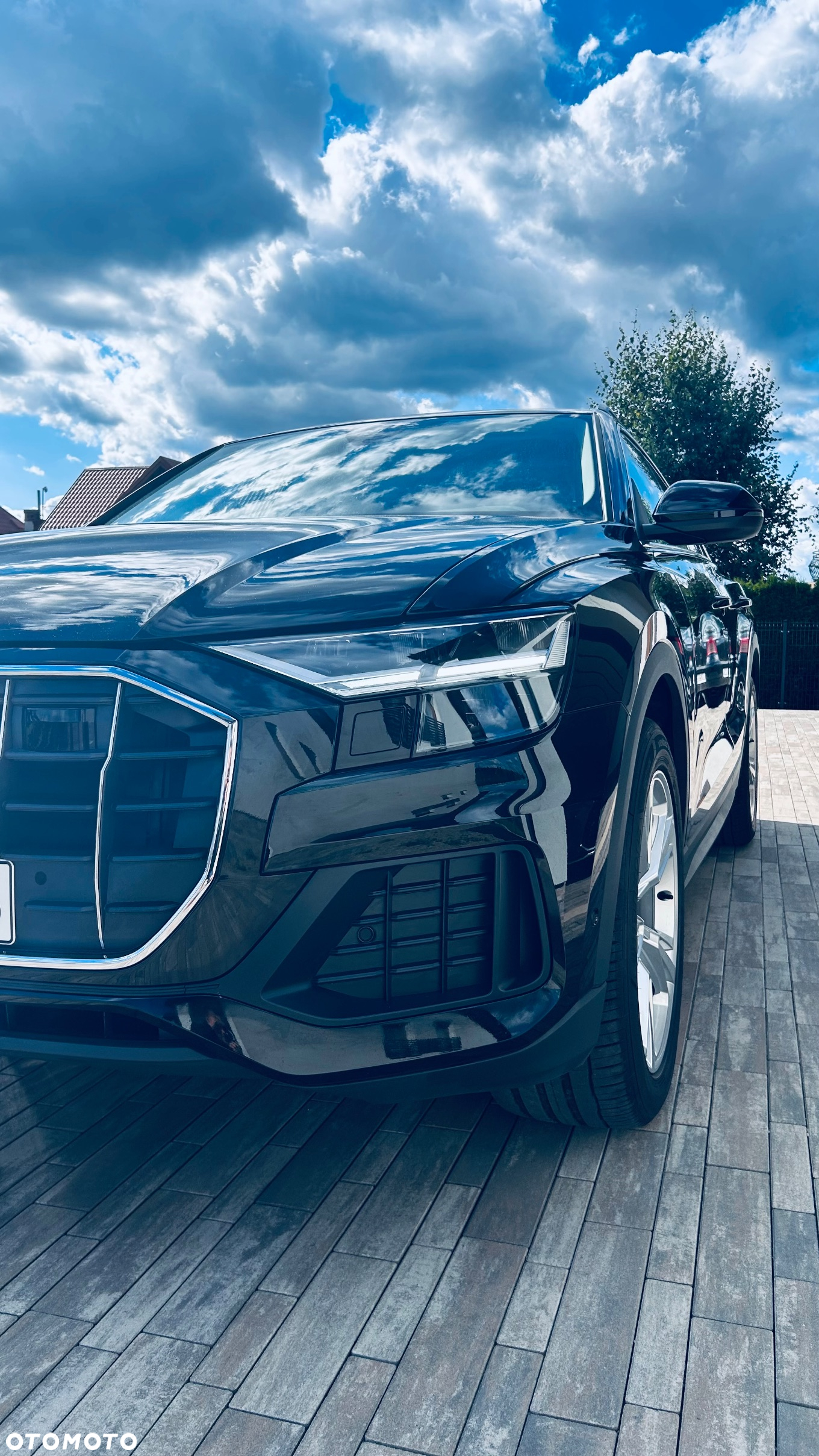 Audi Q8 - 8
