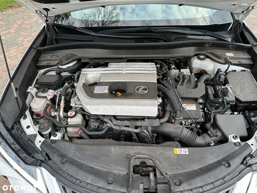Lexus UX 250h Executive Line - 19
