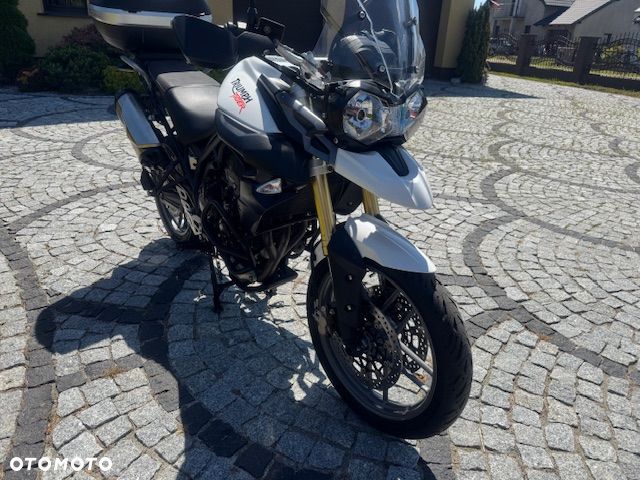 Triumph Tiger - 14