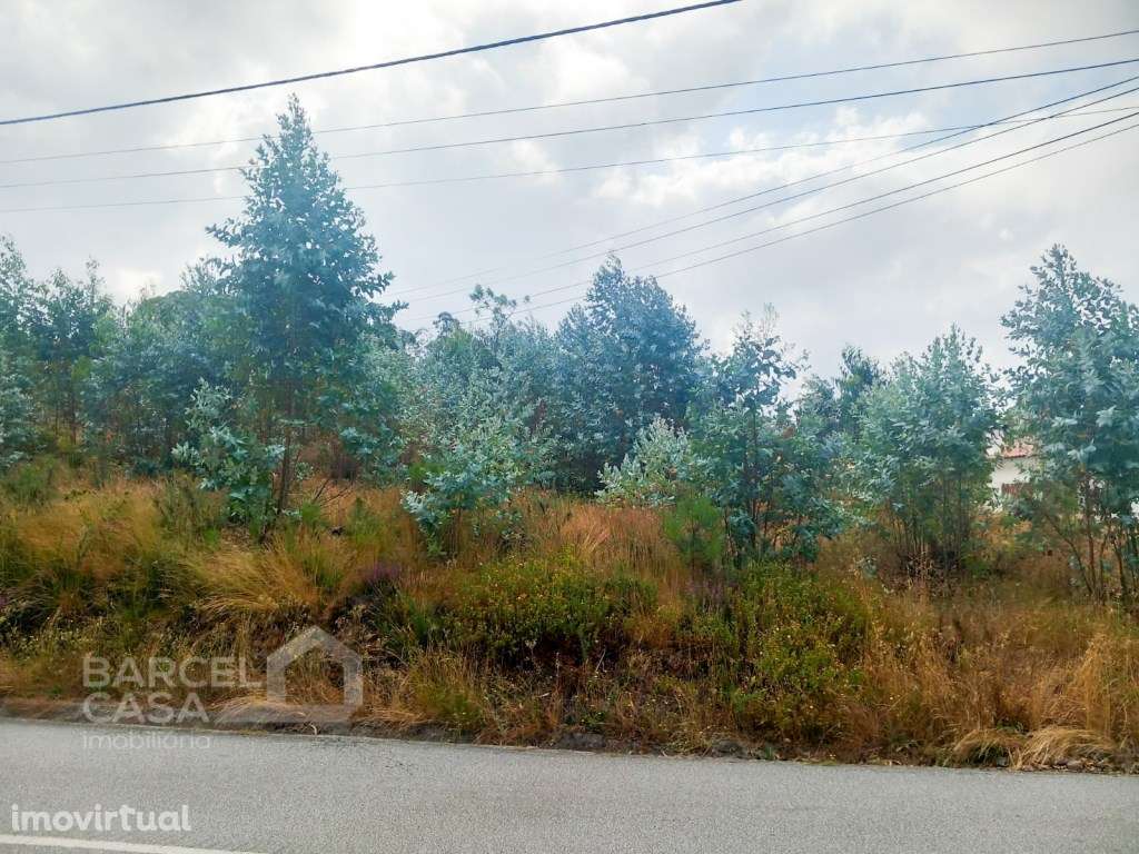 Terreno de construção em Perelhal - Barcelos - Grande imagem: 2/6