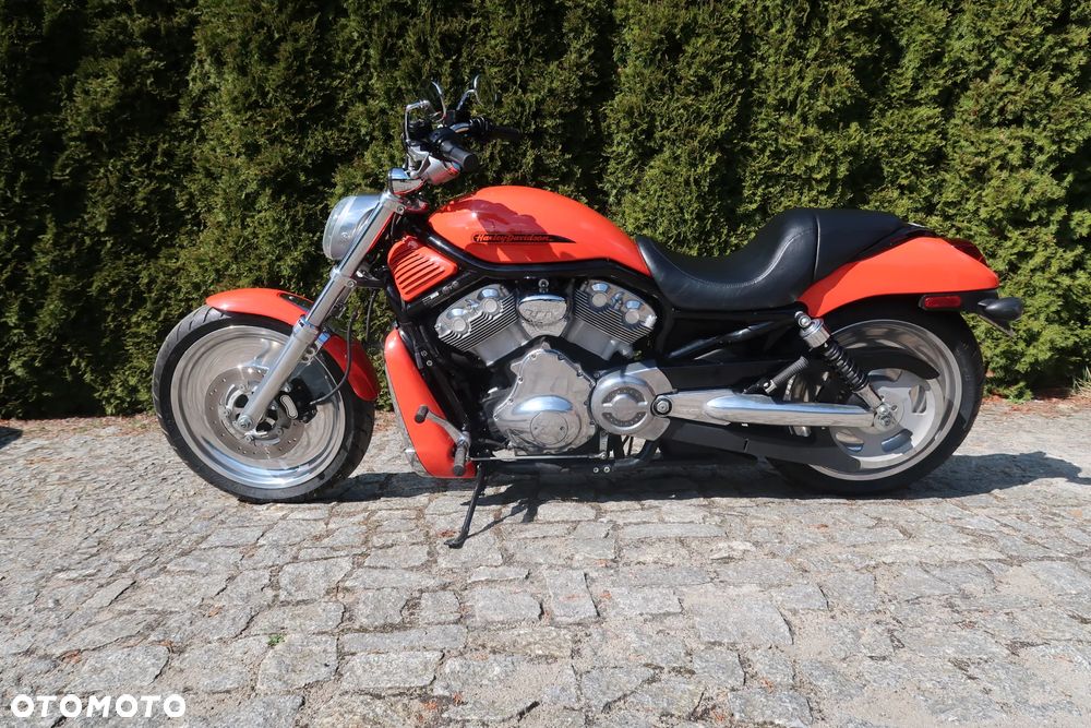 Harley-Davidson V-Rod Night Rod - 14