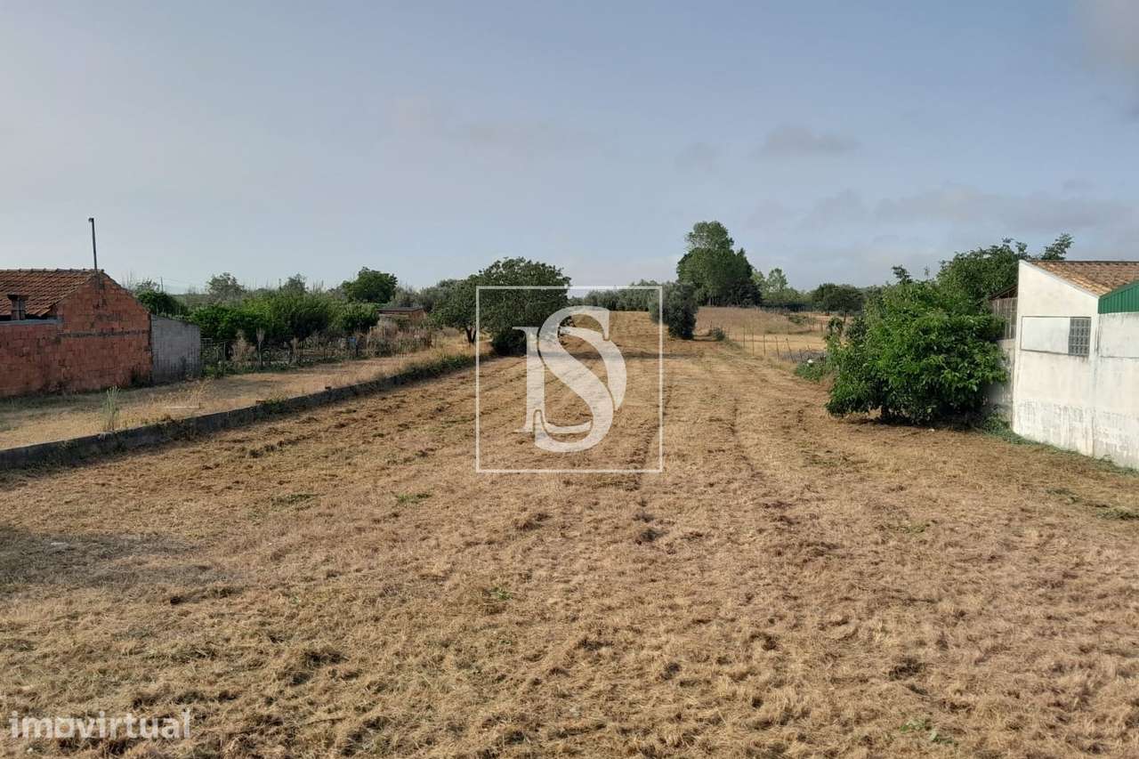 Terreno  Venda em Mealhada, Ventosa do Bairro e Antes,Mealhada - Grande imagem: 2/11