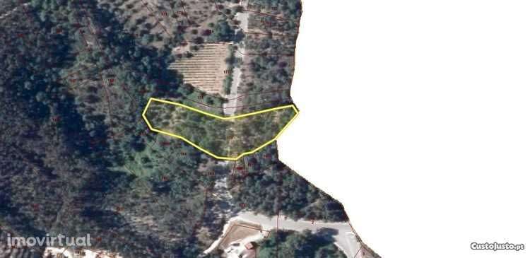 Terreno rústico 500m do rio Zêzere - Grande imagem: 3/3