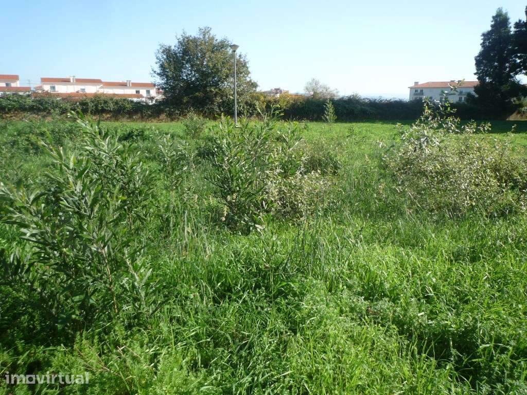 Lote de terreno em Albergaria-a-Velha - Grande imagem: 5/5