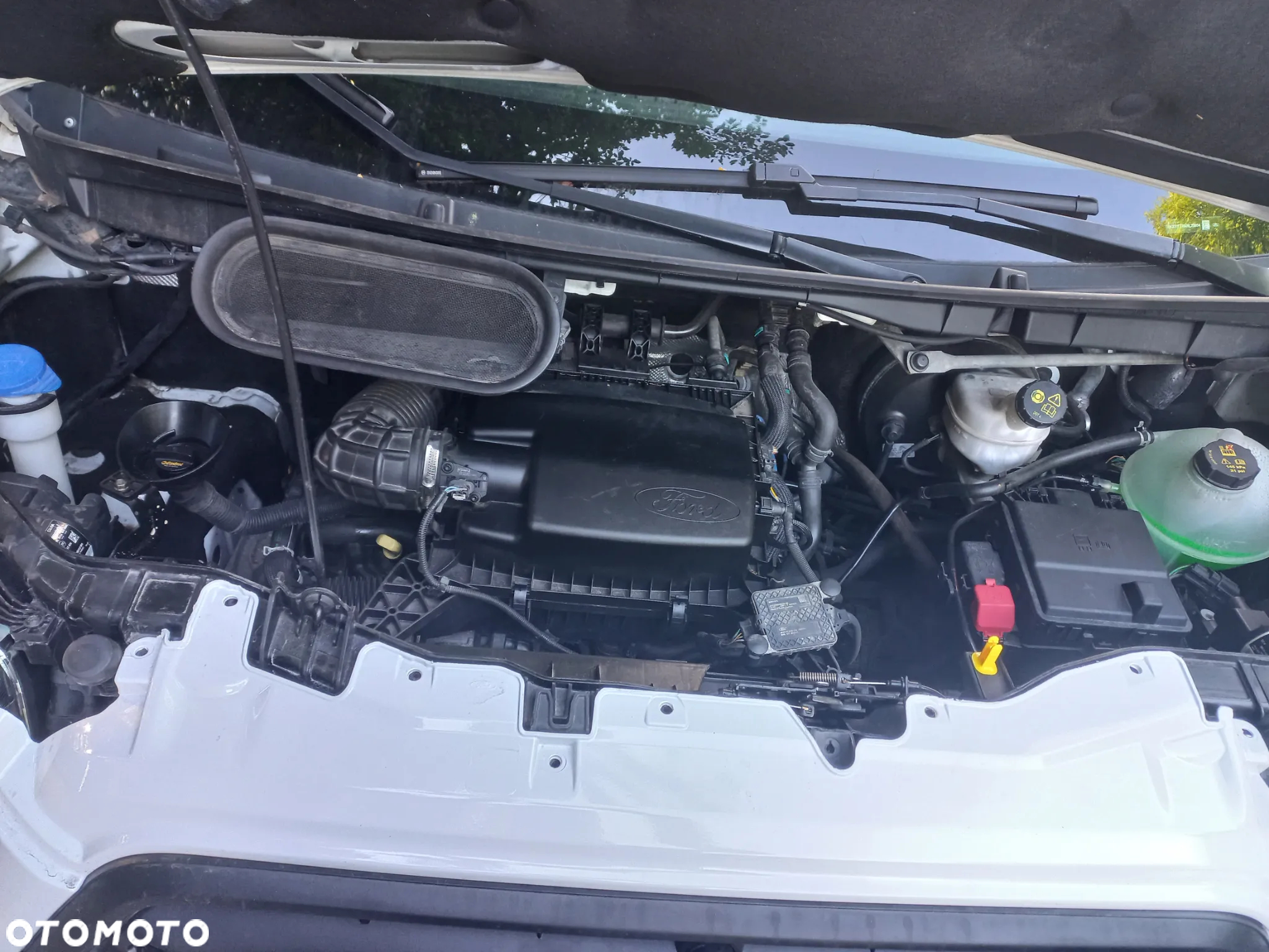 Ford Transit - 20