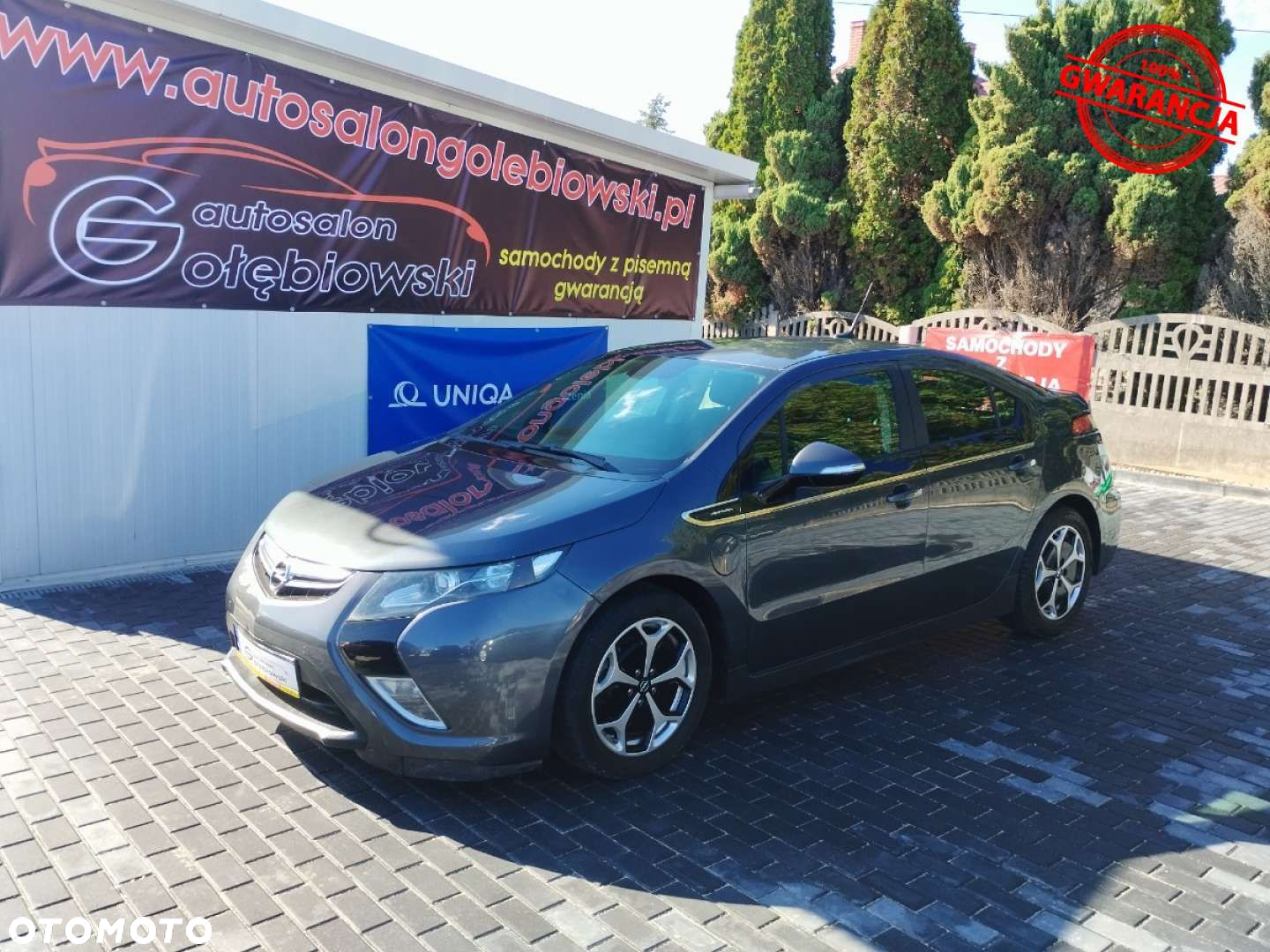 Opel Ampera - 4