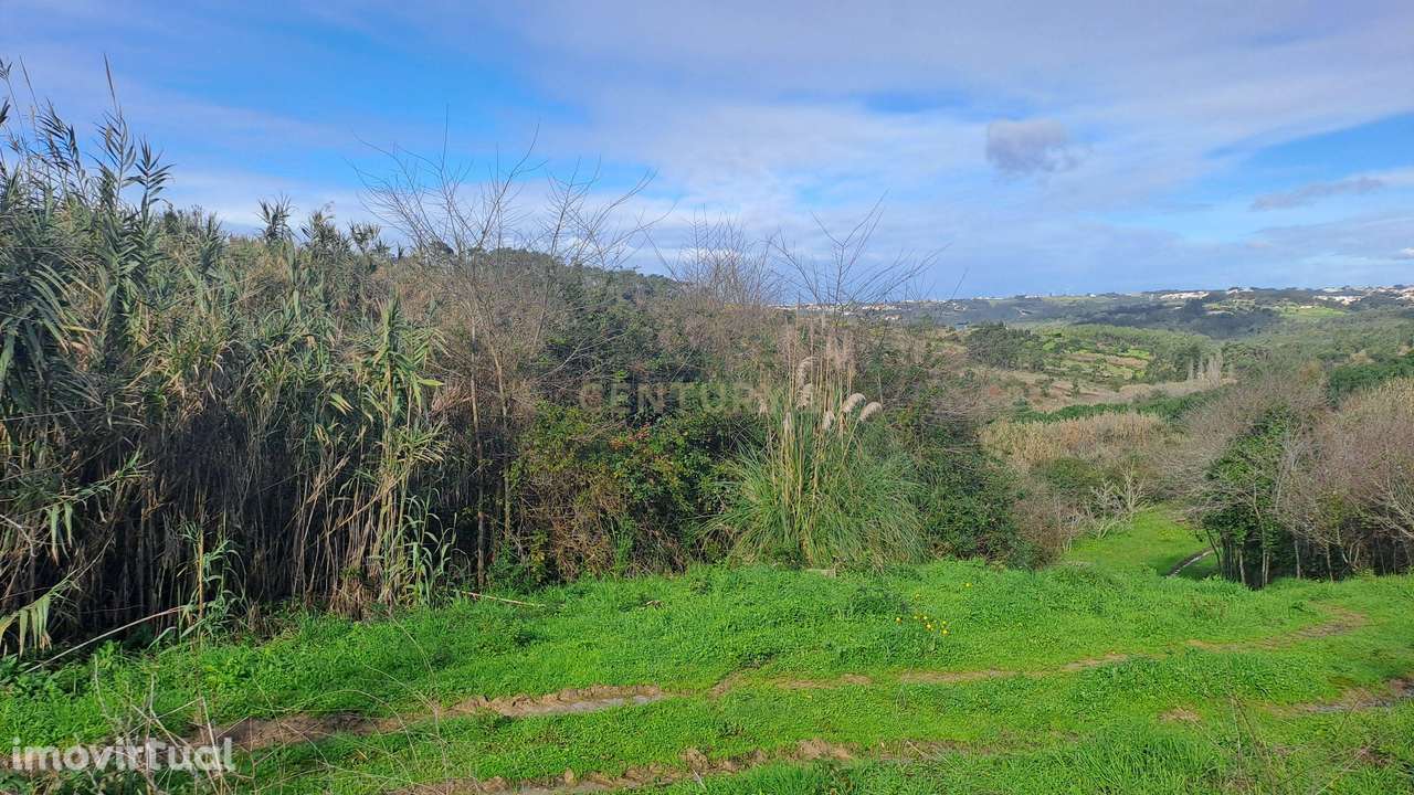 Terreno Agrícola - São João das Lampas - Grande imagem: 3/7
