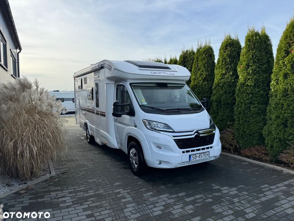 Giottiline Sienna 385