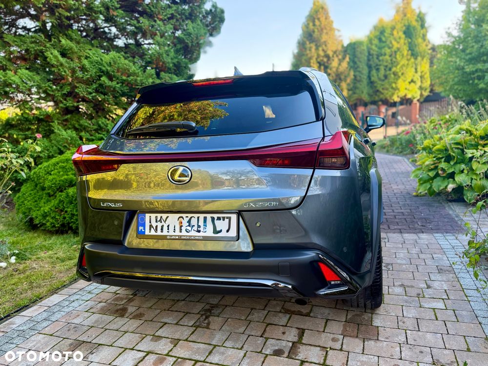 Lexus UX 250h GPF F Sport Design+ 2WD - 4