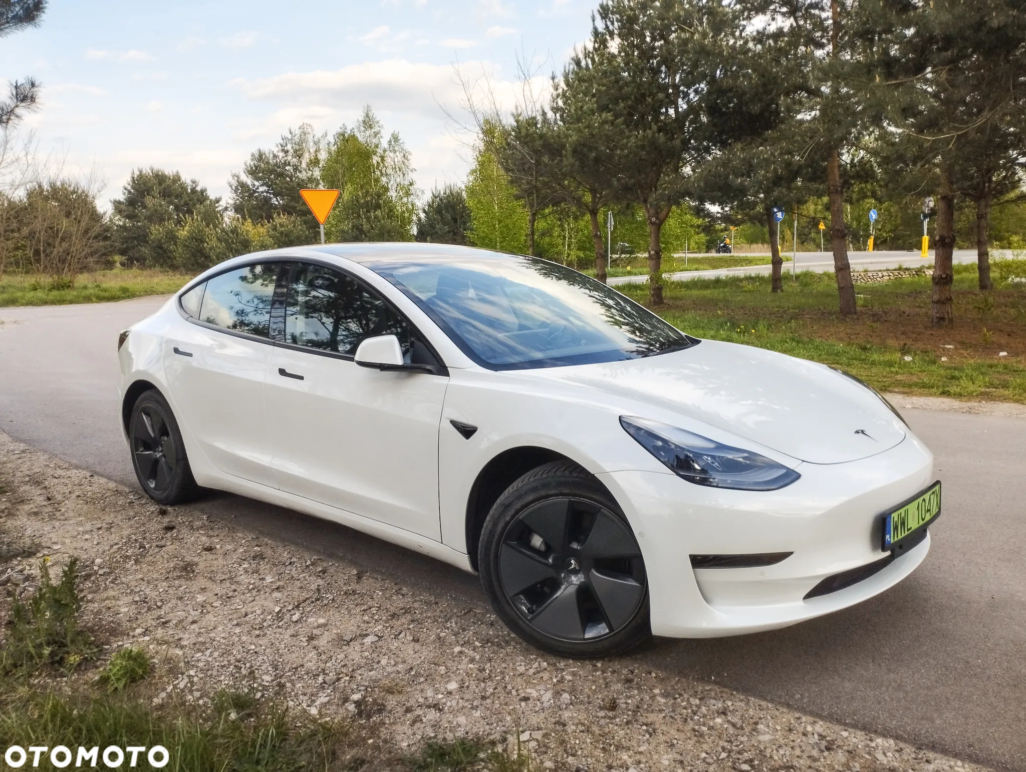Tesla Model 3 Standard Range Plus - 18