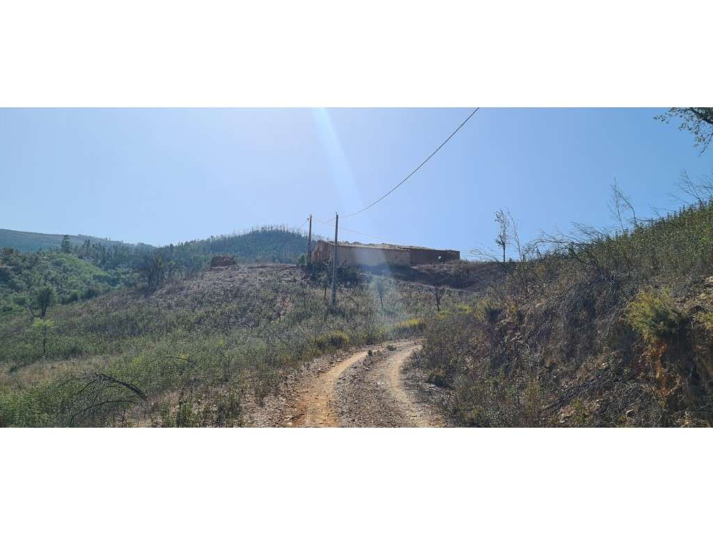 Monte Alentejano para reconstruir - Grande imagem: 2/20