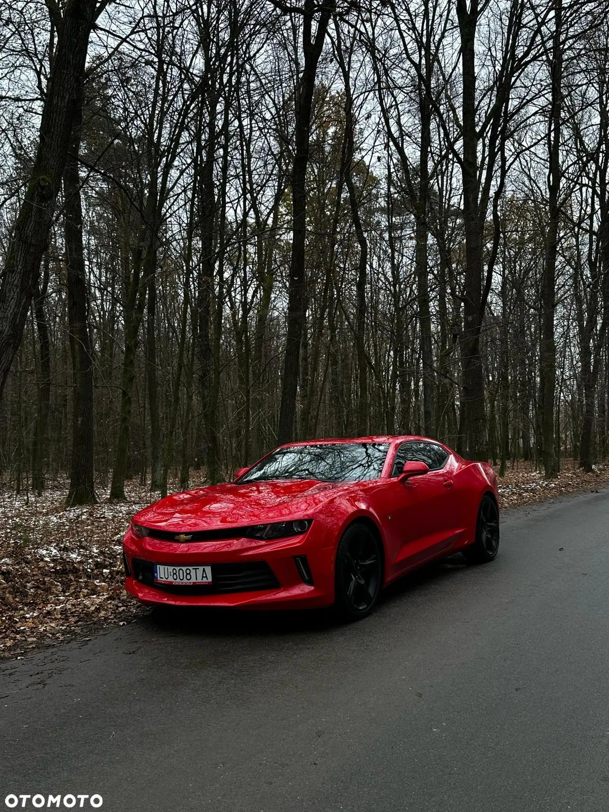 Chevrolet Camaro - 11