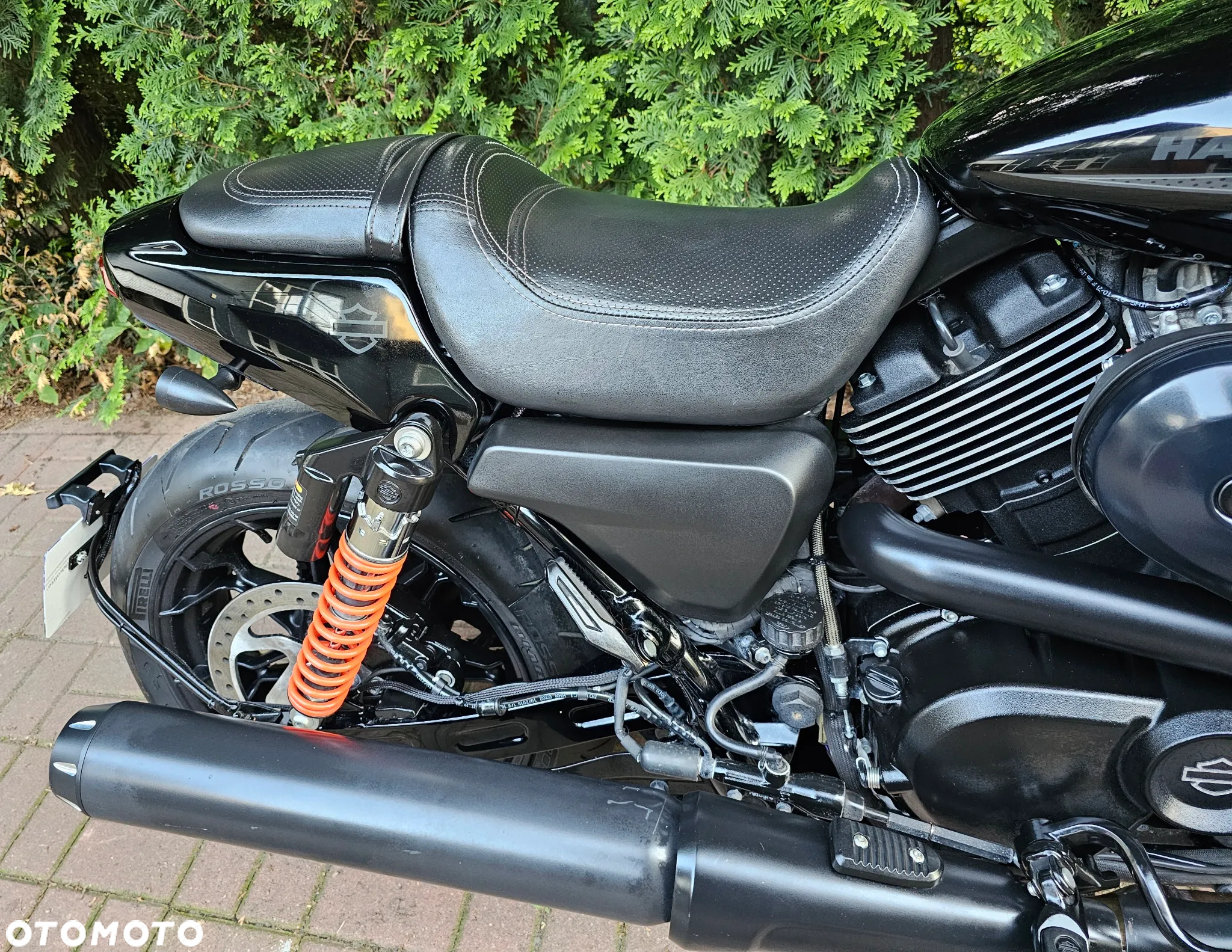 Harley-Davidson Street Rod XG 750A - 9
