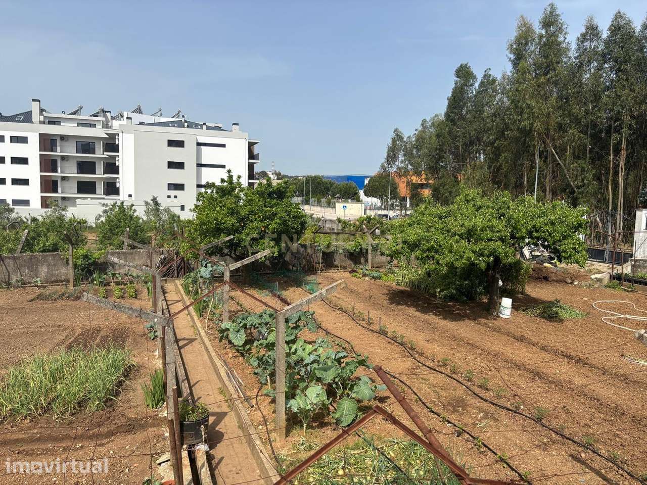 Terreno para Construção em Altura – Entroncamento - Grande imagem: 4/5
