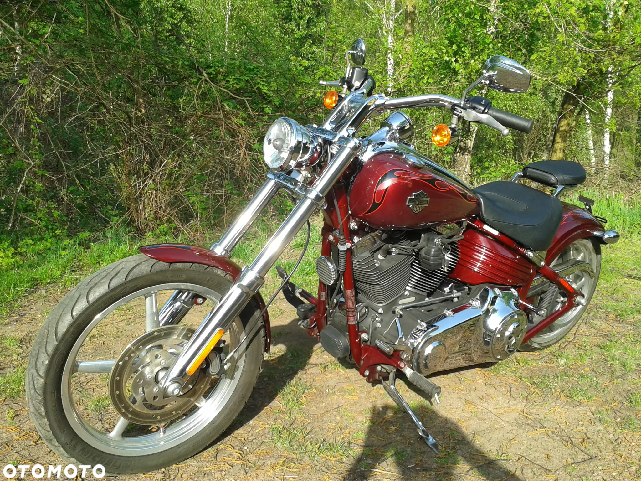 Harley-Davidson Softail - 7