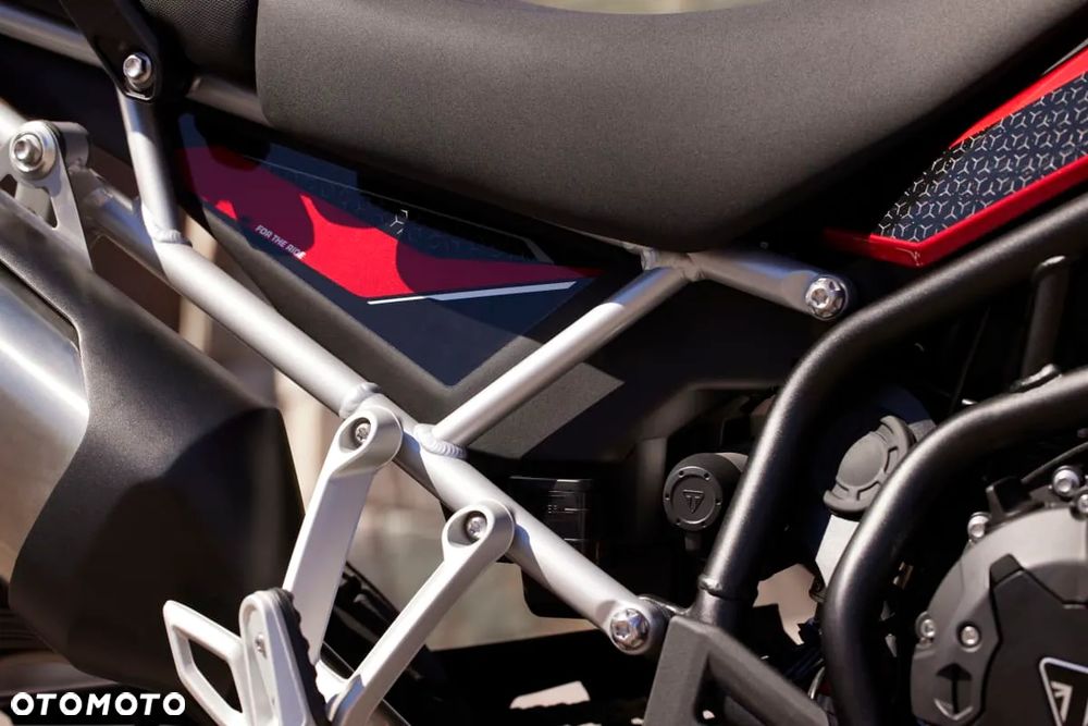 Triumph Tiger - 13