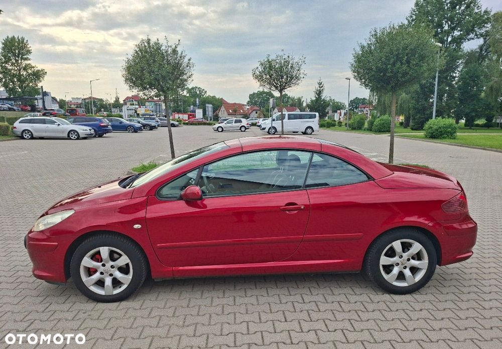 Peugeot 307 - 11
