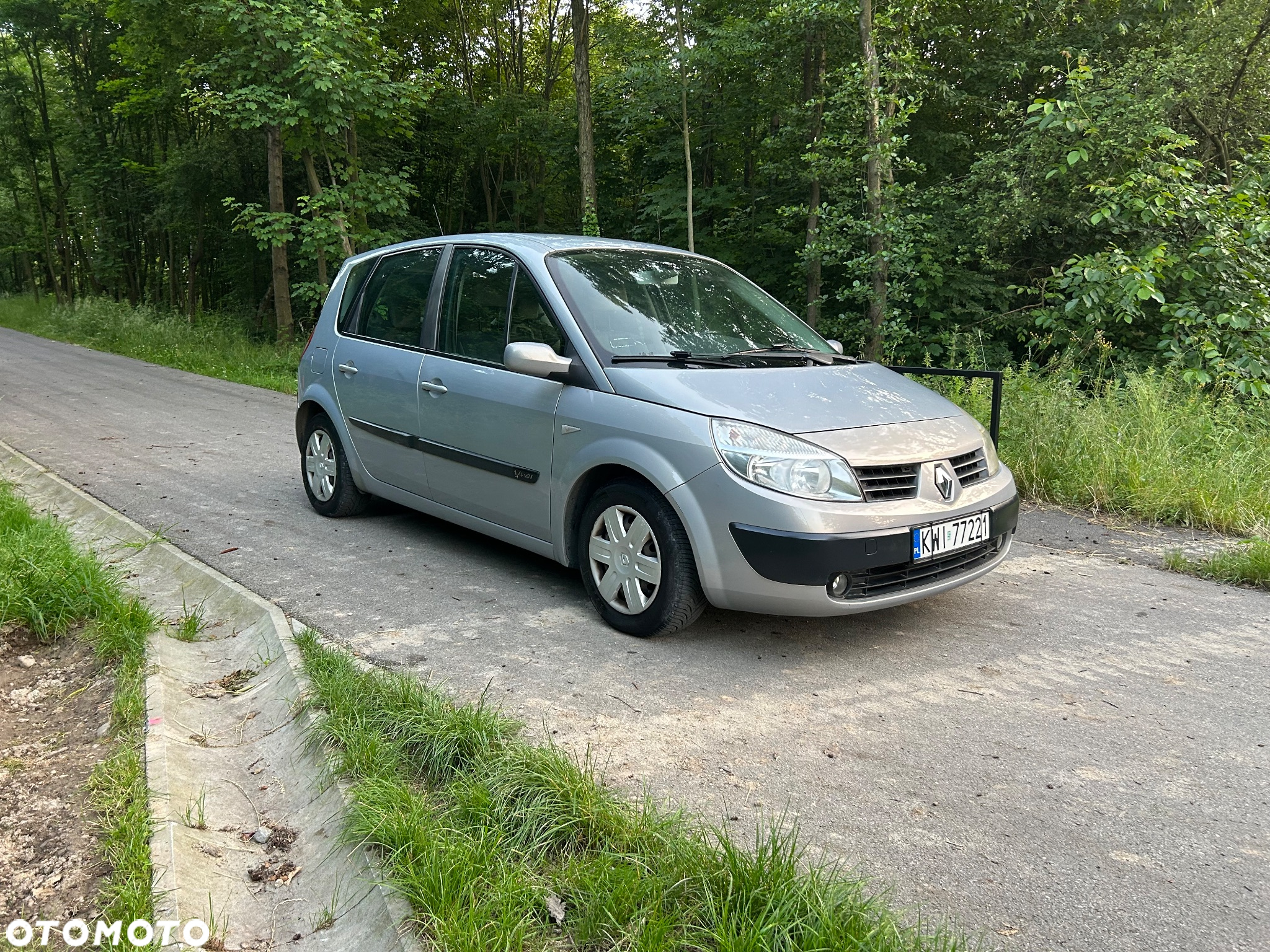 Renault Scenic 1.4 16V Authentique - 15