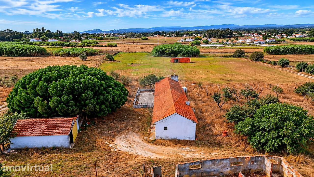 Quinta T3 para venda - Grande imagem: 4/11