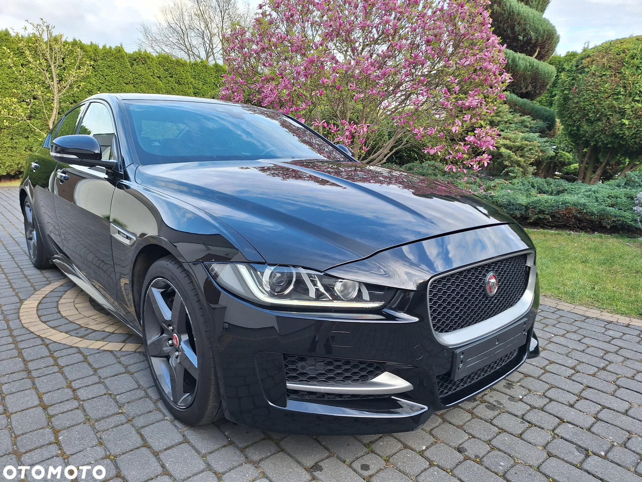 Jaguar XE 2.0 D R-Sport - 2
