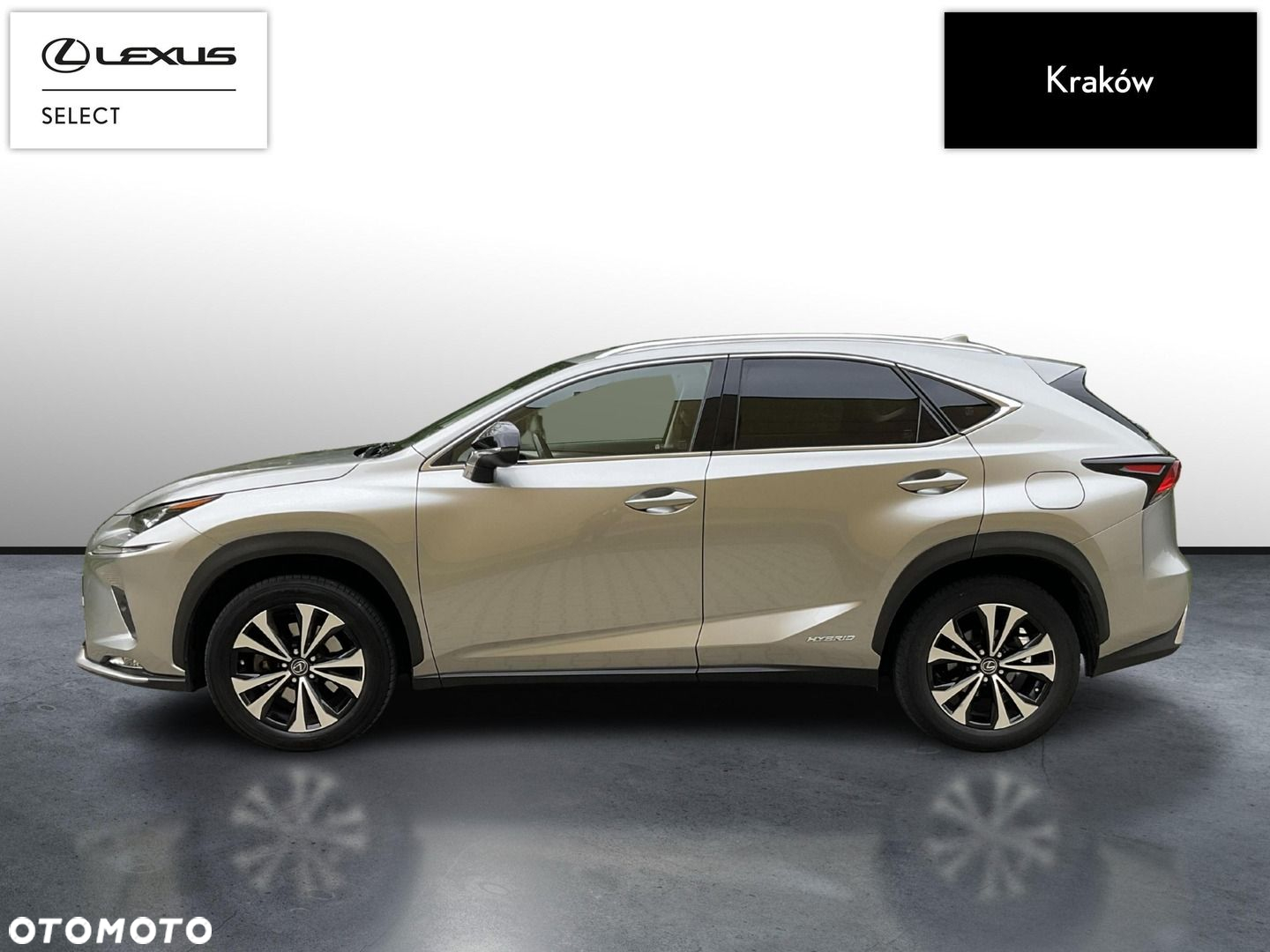Lexus NX 300h F Impression AWD - 2
