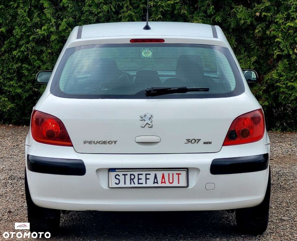 Peugeot 307 - 14