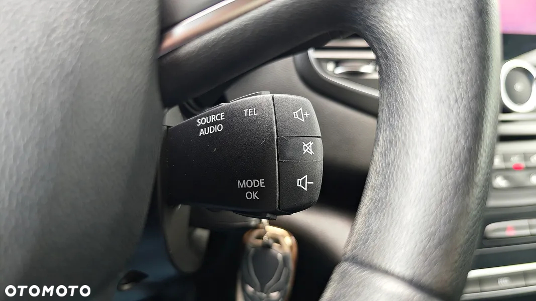 Renault Megane - 31