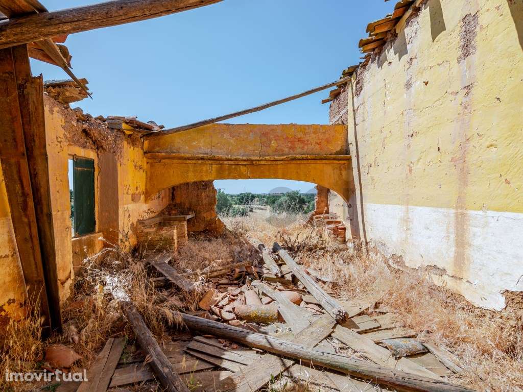 Pequena Quinta com Ruína para Recuperar em Vila Nova de São Bento - Grande imagem: 4/28