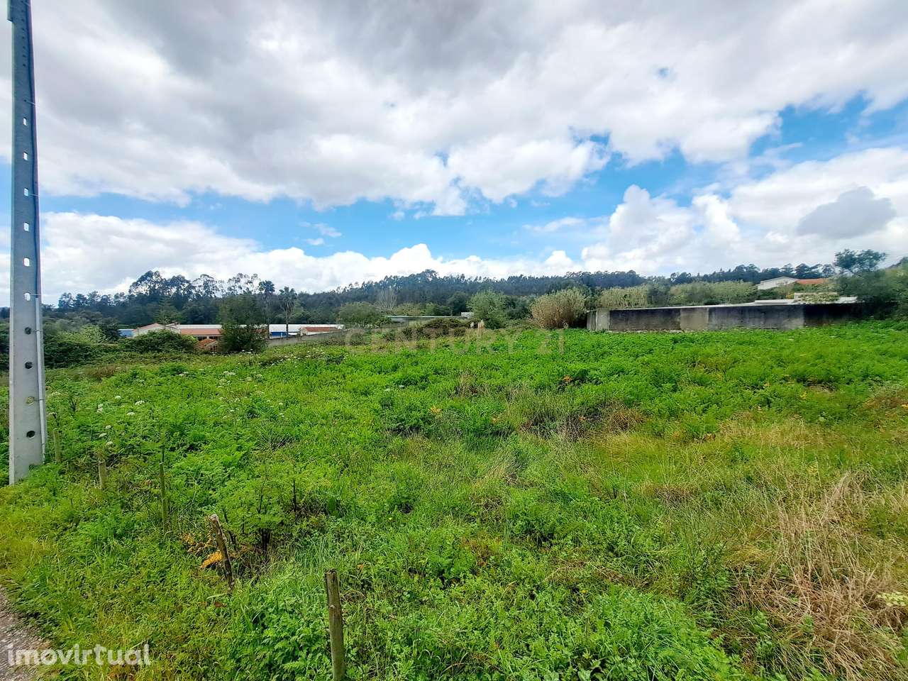 Terreno Rústico em Antanhol, Coimbra – 3.500m² com Árvores de Fruto e  - Grande imagem: 3/8
