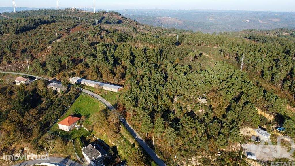 Terreno em Moledo de 9040,00 m2 - Grande imagem: 4/18