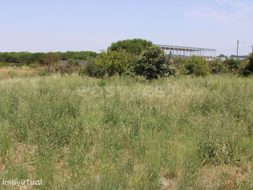 Terreno urbano e rústico para venda com casa em ruínas - Aveiras de... - Grande imagem: 5/27