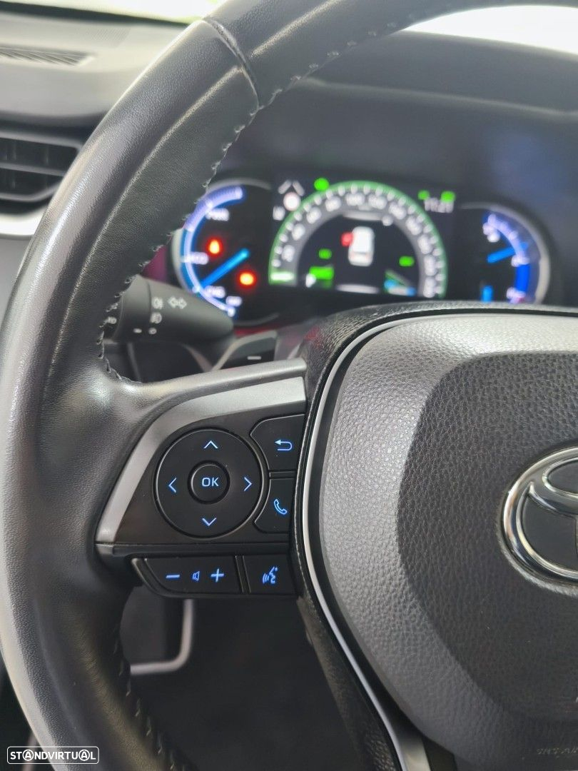 Toyota RAV4 2.5 HDF Exclusive P.Luxury - 14