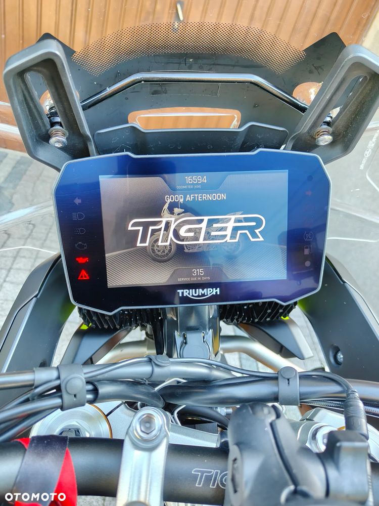 Triumph Tiger - 10