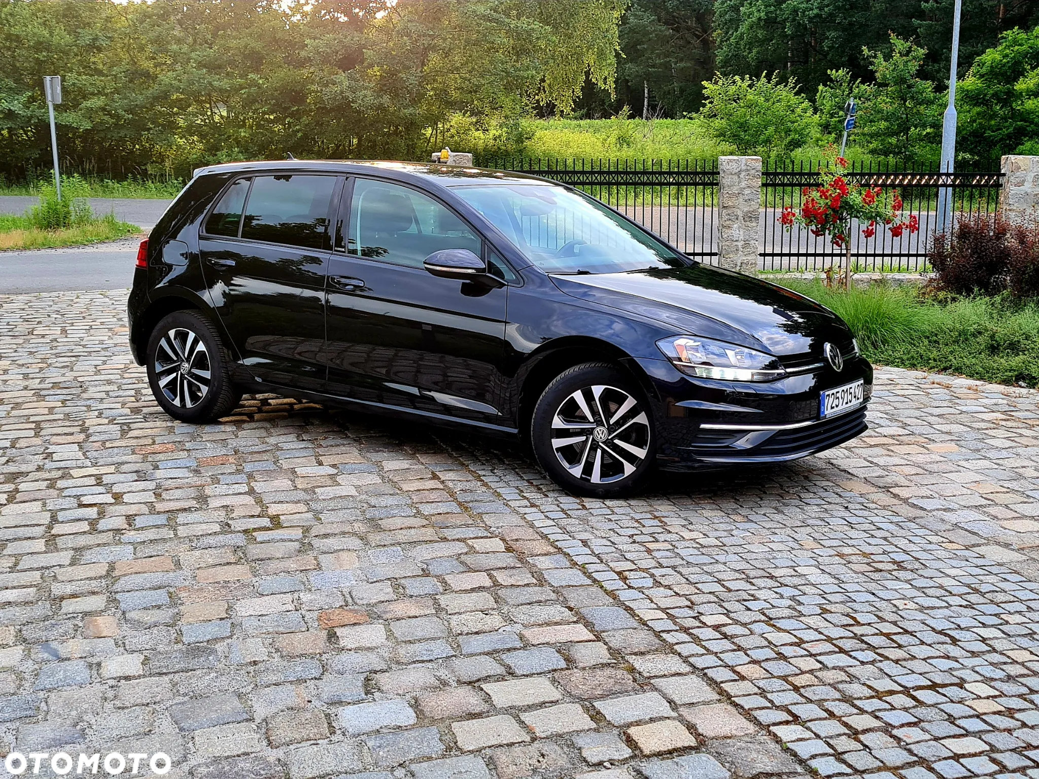 Volkswagen Golf VII 1.5 TSI BMT Evo IQ Drive - 22