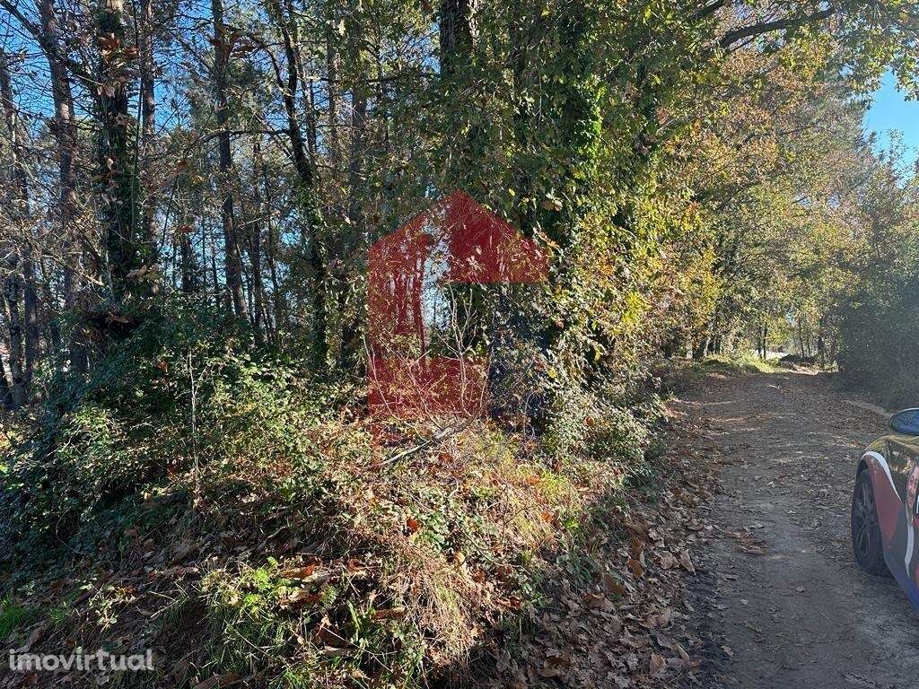 Terreno Industrial, Vila de Prado - Grande imagem: 2/12