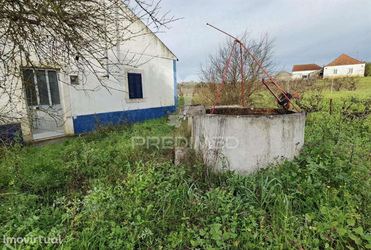 Deslumbrante Quinta , localizada em pleno Ribatejo Casével / Santarém - Grande imagem: 5/40