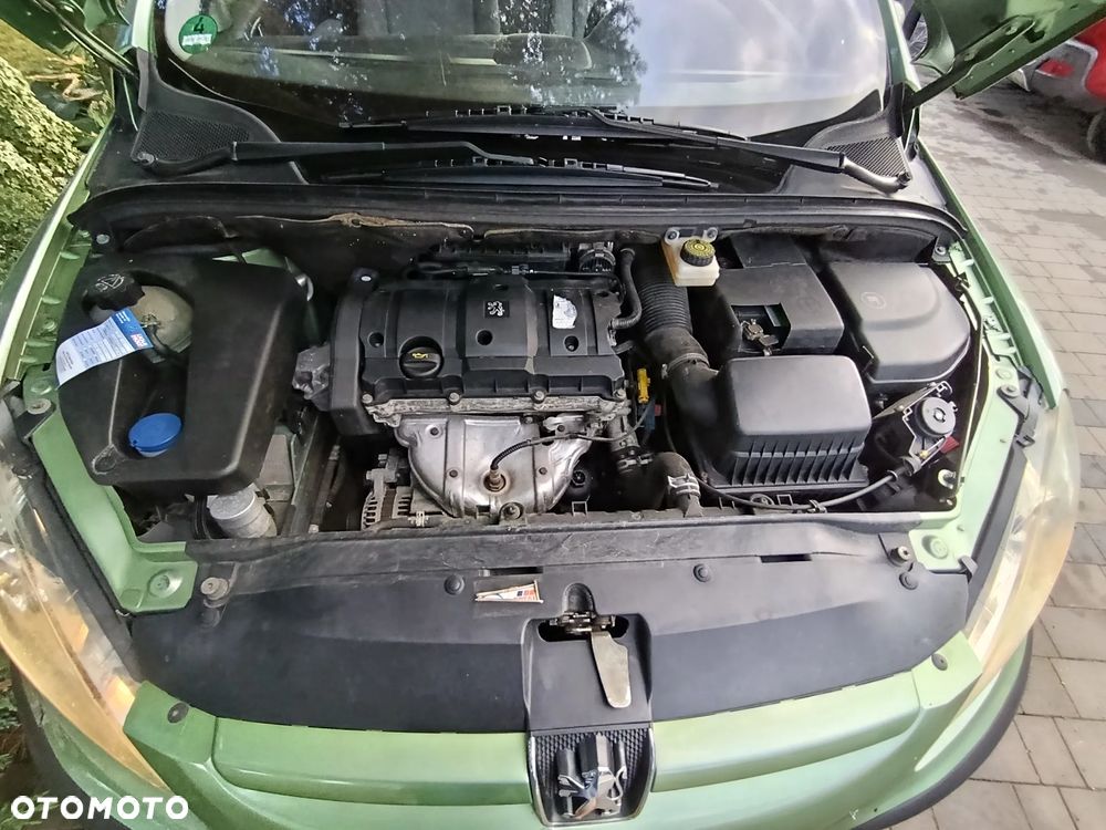 Peugeot 307 110 Grand Filou - 16