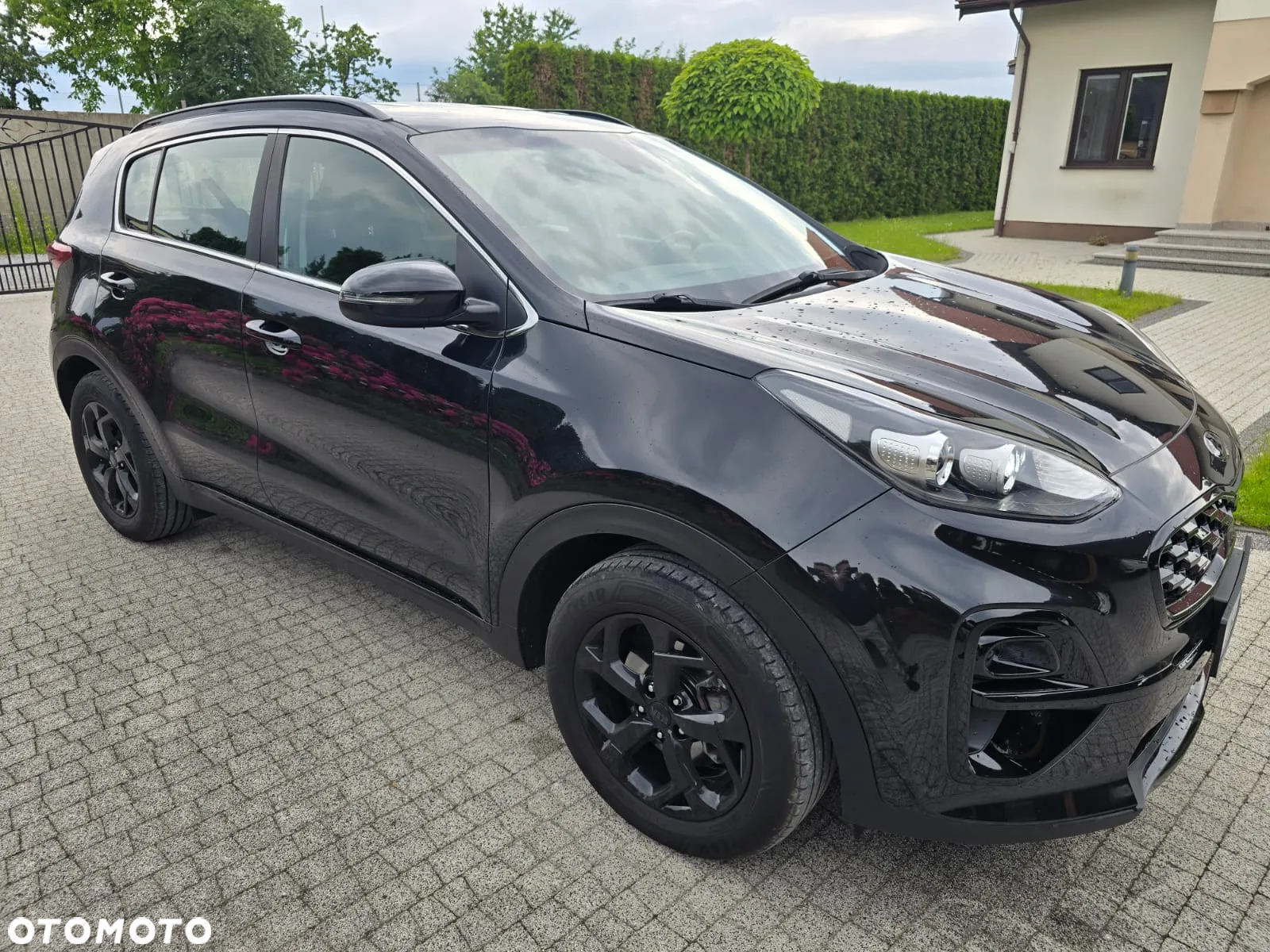 Kia Sportage - 6