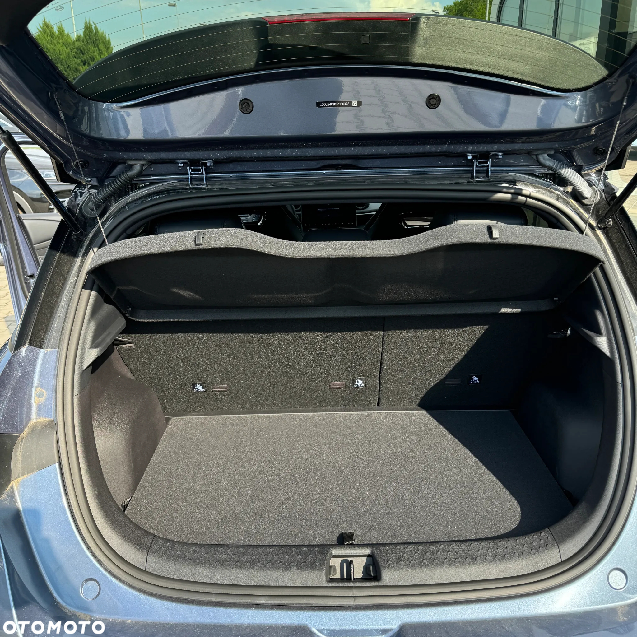 BYD Dolphin Mini - 12