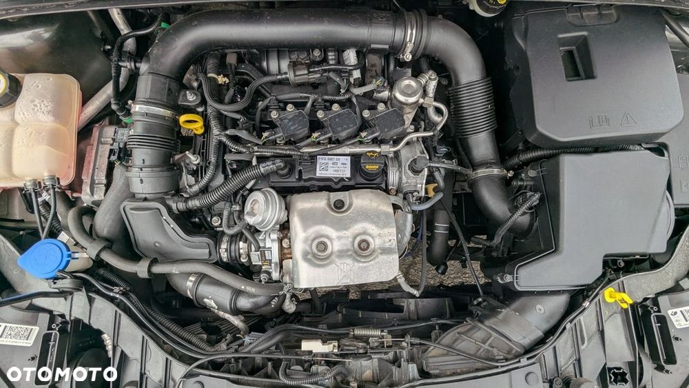 Ford Focus - 37
