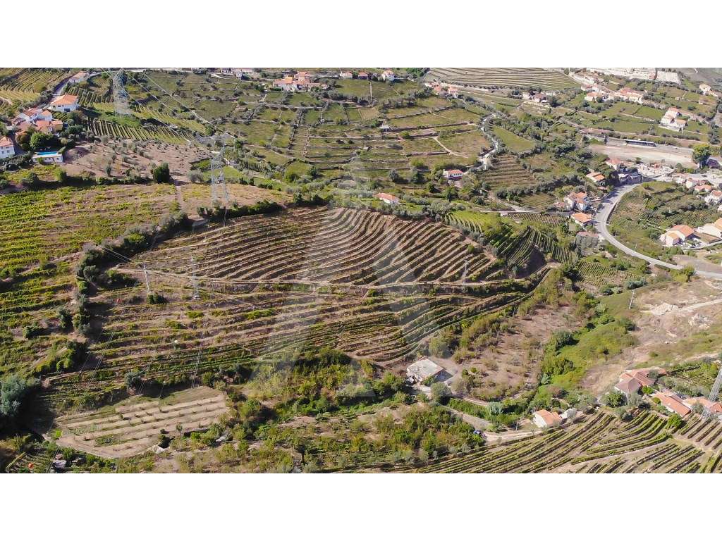 Quinta no Alto Douro - Região Demarcada do Douro - Grande imagem: 3/15