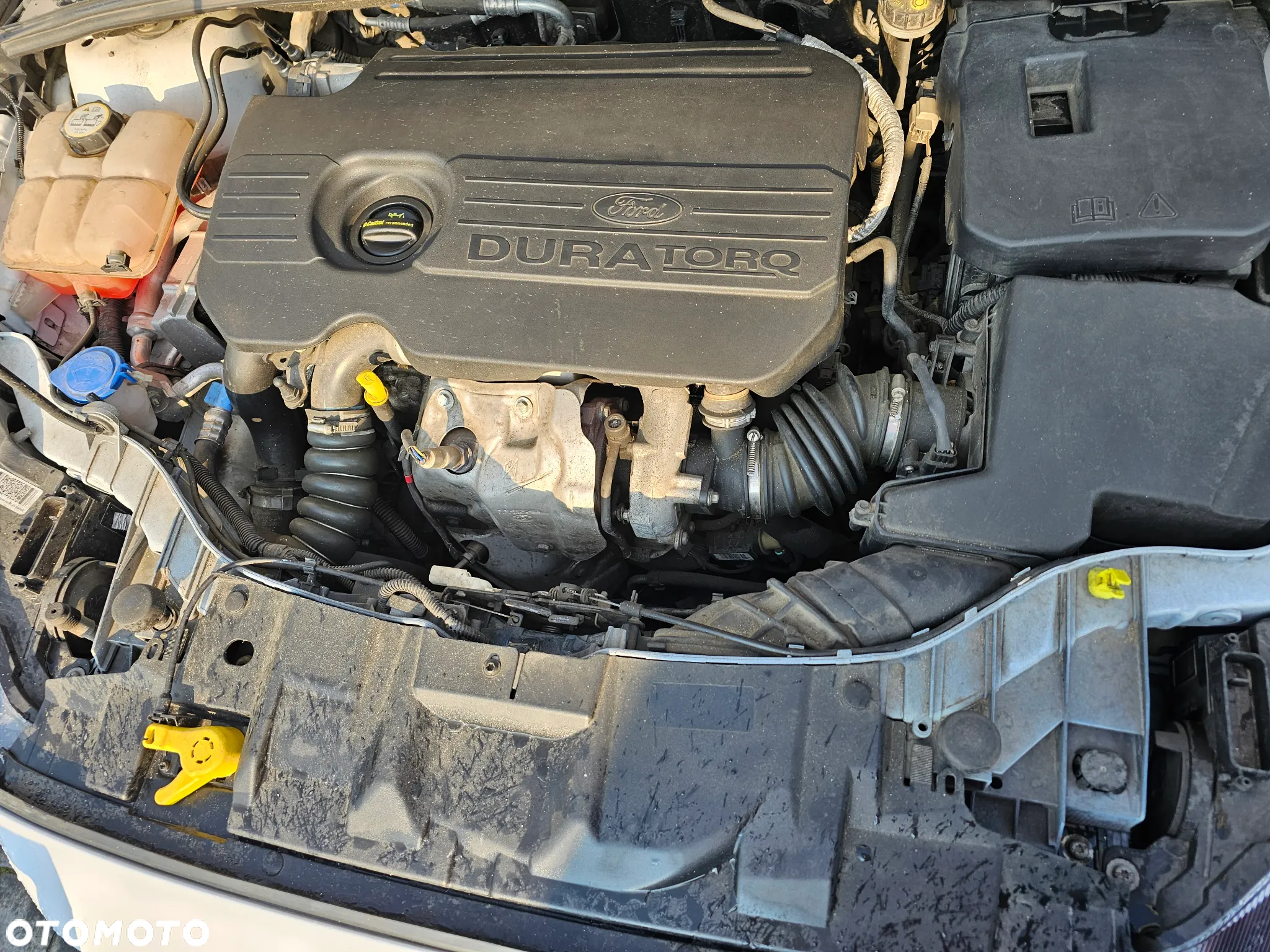 Ford Focus - 17