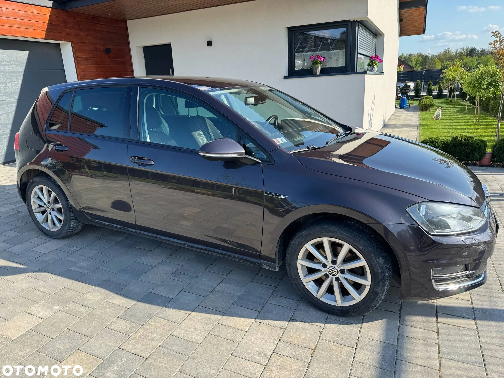 Volkswagen Golf VII 1.2 TSI BMT Trendline Perfectline - 5