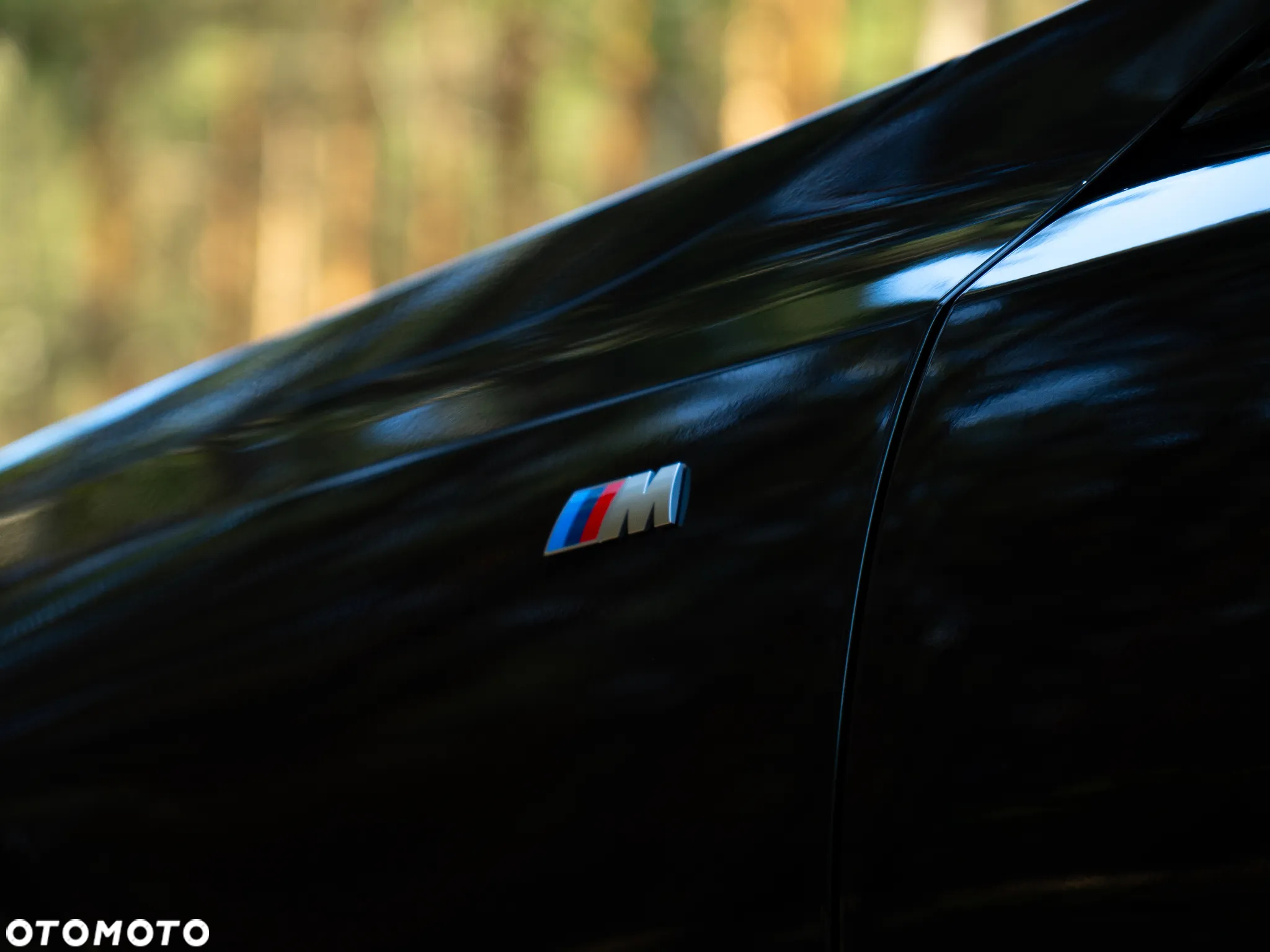 BMW Seria 5 - 10
